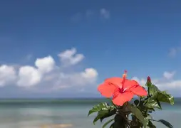孙兴慜将于8月16日打悬念揭晓的简单介绍